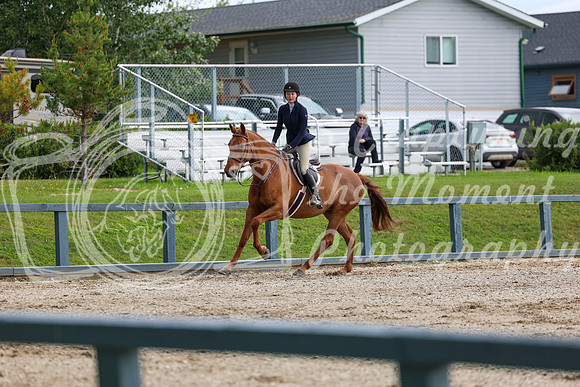 00301 - Shea - 2026 June Classic I - Thursday June 11th