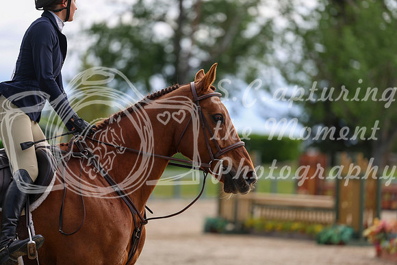 00309 - Shea - 2026 June Classic I - Thursday June 11th