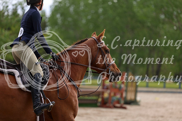 00311 - Shea - 2026 June Classic I - Thursday June 11th