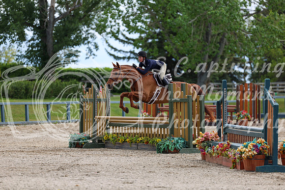 00349 - Shea - 2026 June Classic I - Thursday June 11th