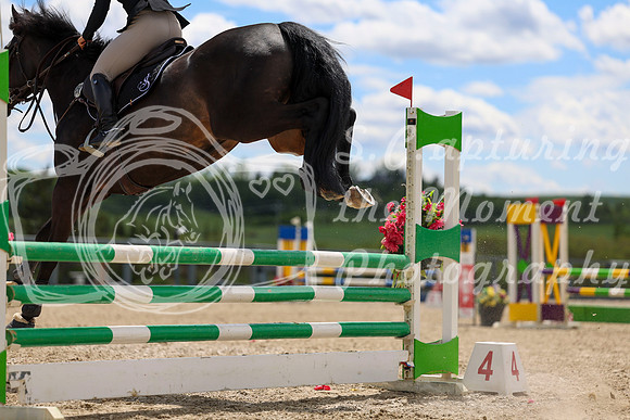 02044 - Shea - 2026 June Classic I - Thursday June 11th