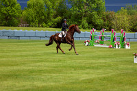 03873 - Shea - 2026 June Classic I - Thursday June 11th