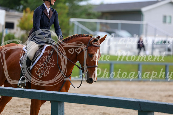 00431 - Shea - 2026 June Classic I - Thursday June 11th