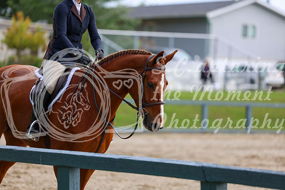 00433 - Shea - 2026 June Classic I - Thursday June 11th