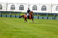 04433 - Shea - 2026 June Classic I - Thursday June 11th