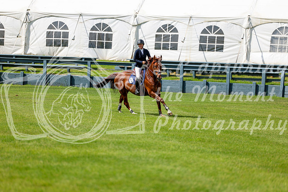 04434 - Shea - 2026 June Classic I - Thursday June 11th