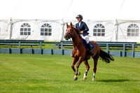 04438 - Shea - 2026 June Classic I - Thursday June 11th