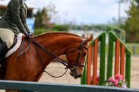 01398 - Shea - 2026 June Classic I - Thursday June 11th