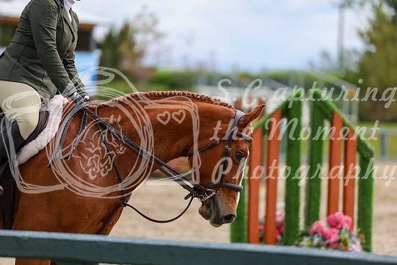 01398 - Shea - 2026 June Classic I - Thursday June 11th