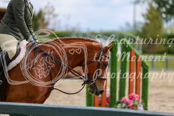 01399 - Shea - 2026 June Classic I - Thursday June 11th