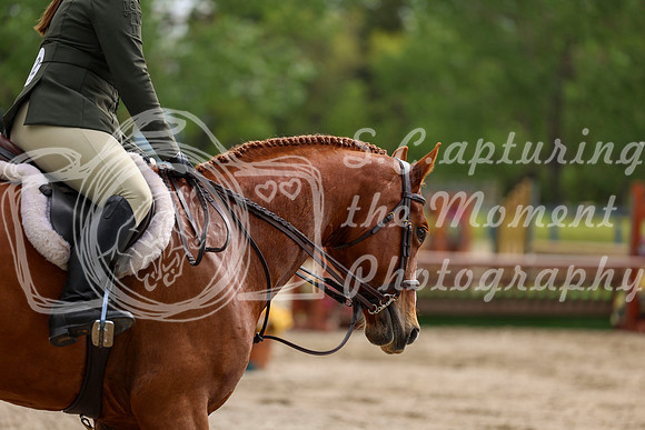 01403 - Shea - 2026 June Classic I - Thursday June 11th