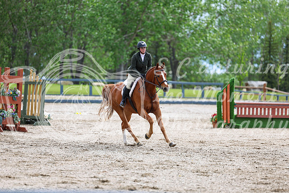 01413 - Shea - 2026 June Classic I - Thursday June 11th