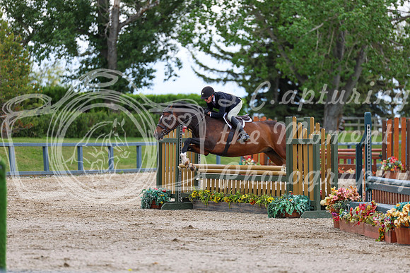 01619 - Shea - 2026 June Classic I - Thursday June 11th
