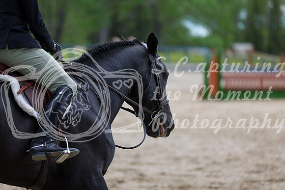 01690 - Shea - 2026 June Classic I - Thursday June 11th