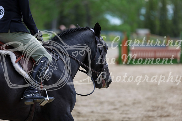 01691 - Shea - 2026 June Classic I - Thursday June 11th