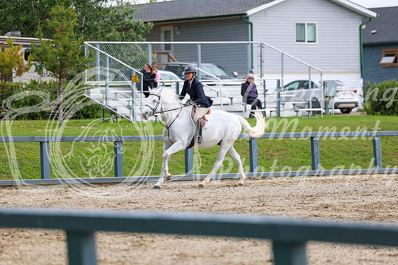 00809 - Shea - 2026 June Classic I - Thursday June 11th