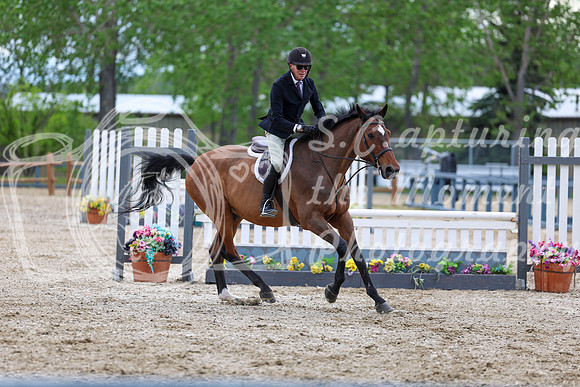00981 - Shea - 2026 June Classic I - Thursday June 11th