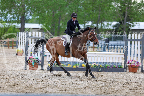 00982 - Shea - 2026 June Classic I - Thursday June 11th