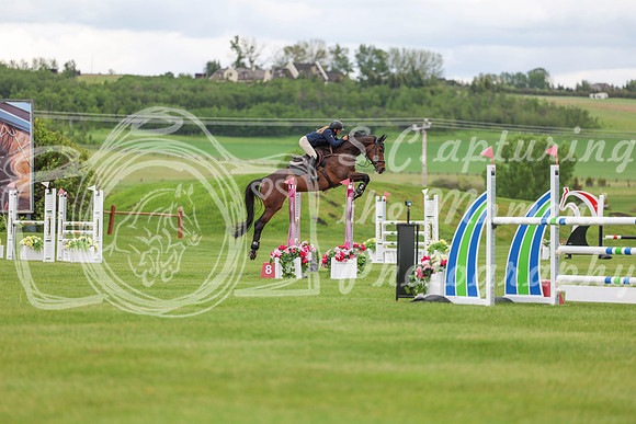 03835 - Shea - 2026 June Classic I - Friday June 12th