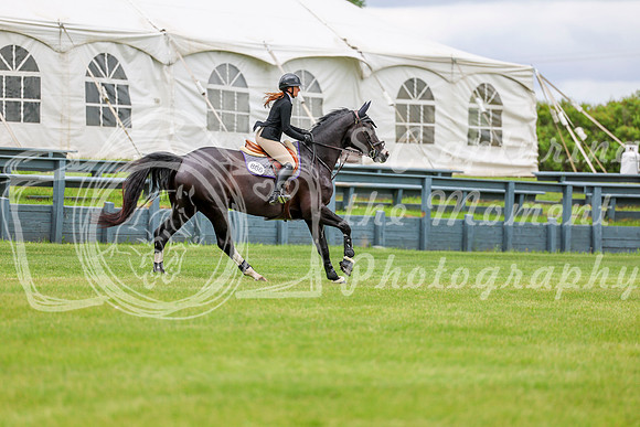 03899 - Shea - 2026 June Classic I - Friday June 12th