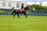 03976 - Shea - 2026 June Classic I - Friday June 12th