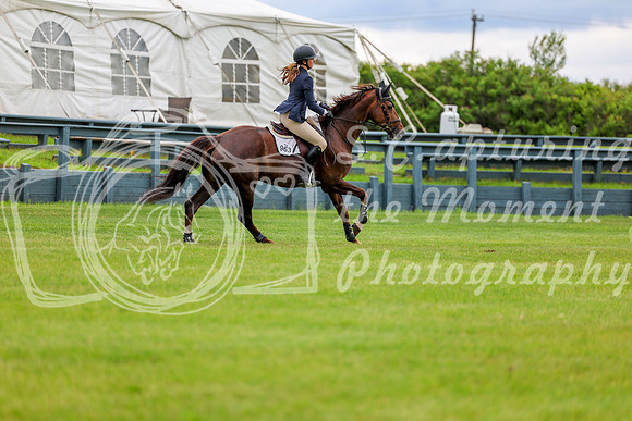 03976 - Shea - 2026 June Classic I - Friday June 12th