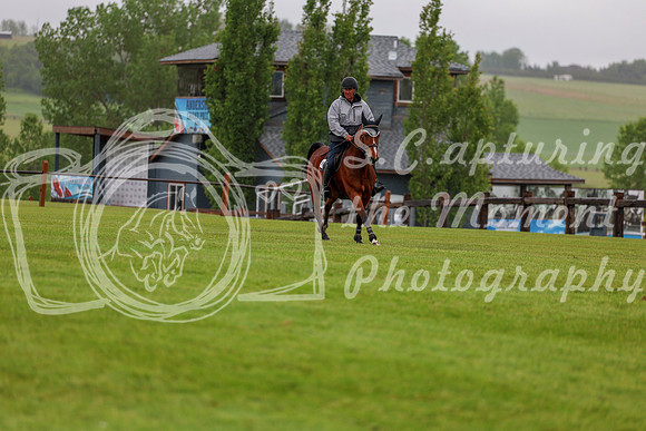 01902 - Shea - 2026 June Classic I - Friday June 12th
