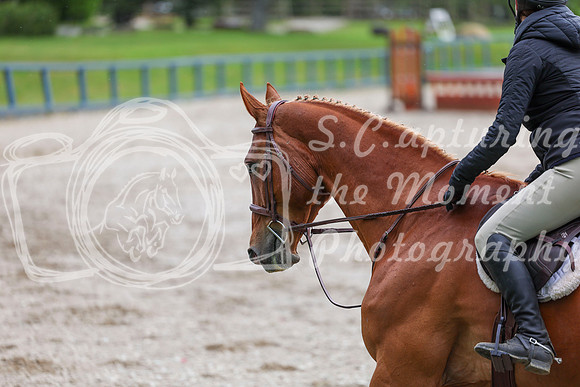 02413 - Shea - 2026 June Classic I - Friday June 12th