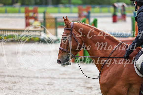 02410 - Shea - 2026 June Classic I - Friday June 12th