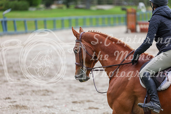 02414 - Shea - 2026 June Classic I - Friday June 12th