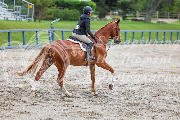 02423 - Shea - 2026 June Classic I - Friday June 12th