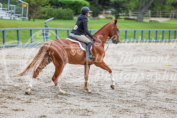 02424 - Shea - 2026 June Classic I - Friday June 12th