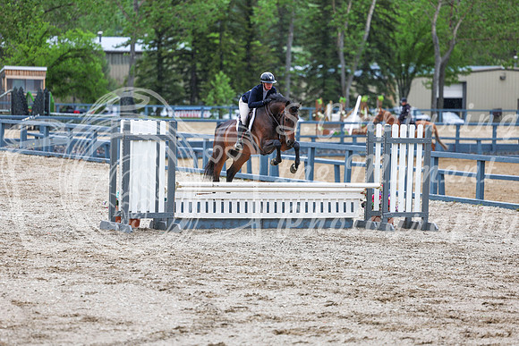 02519 - Shea - 2026 June Classic I - Friday June 12th