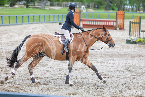 03677 - Shea - 2026 June Classic I - Friday June 12th