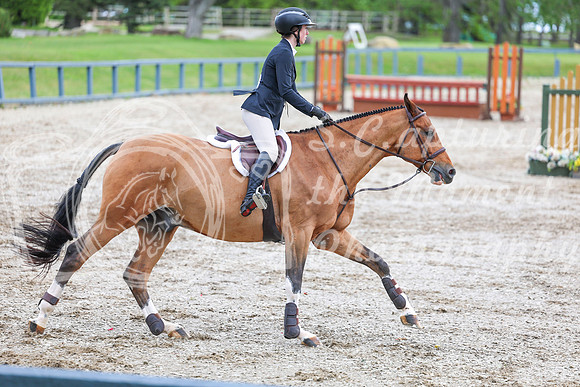 03676 - Shea - 2026 June Classic I - Friday June 12th