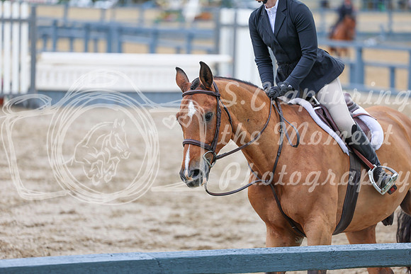 03723 - Shea - 2026 June Classic I - Friday June 12th