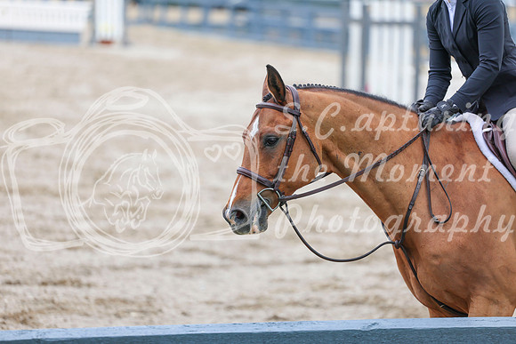 03726 - Shea - 2026 June Classic I - Friday June 12th