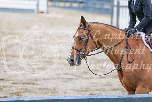 03727 - Shea - 2026 June Classic I - Friday June 12th
