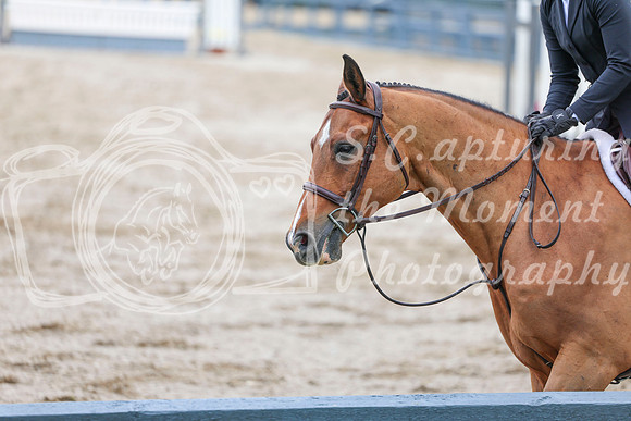 03728 - Shea - 2026 June Classic I - Friday June 12th