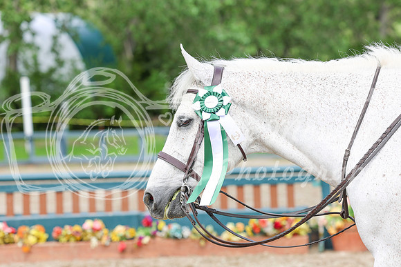 03750 - Shea - 2026 June Classic I - Friday June 12th