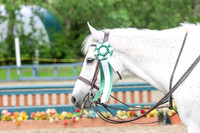 03751 - Shea - 2026 June Classic I - Friday June 12th