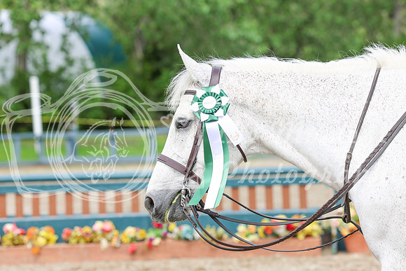 03751 - Shea - 2026 June Classic I - Friday June 12th