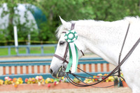 03752 - Shea - 2026 June Classic I - Friday June 12th