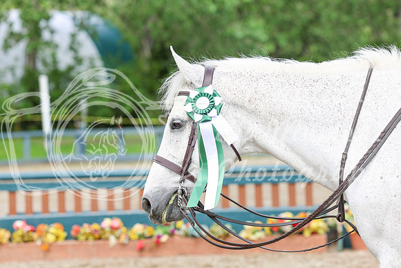 03752 - Shea - 2026 June Classic I - Friday June 12th