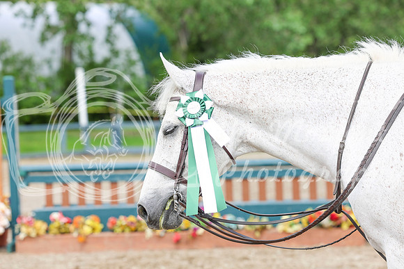 03753 - Shea - 2026 June Classic I - Friday June 12th