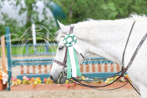 03754 - Shea - 2026 June Classic I - Friday June 12th