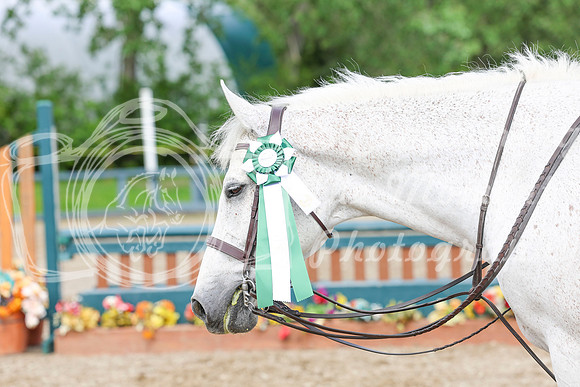 03755 - Shea - 2026 June Classic I - Friday June 12th