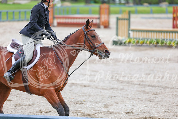 02677 - Shea - 2026 June Classic I - Friday June 12th