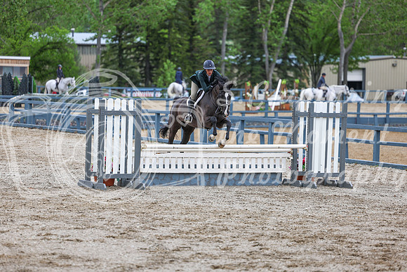 03041 - Shea - 2026 June Classic I - Friday June 12th