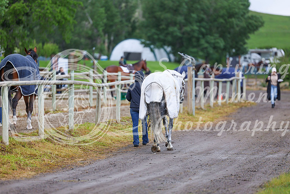 01616 - Shea - 2026 June Classic I - Friday June 12th